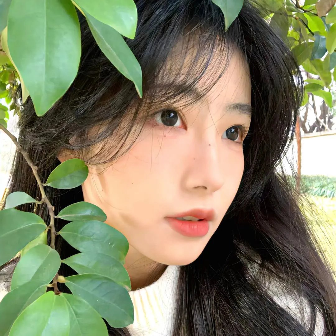 偷心女巫